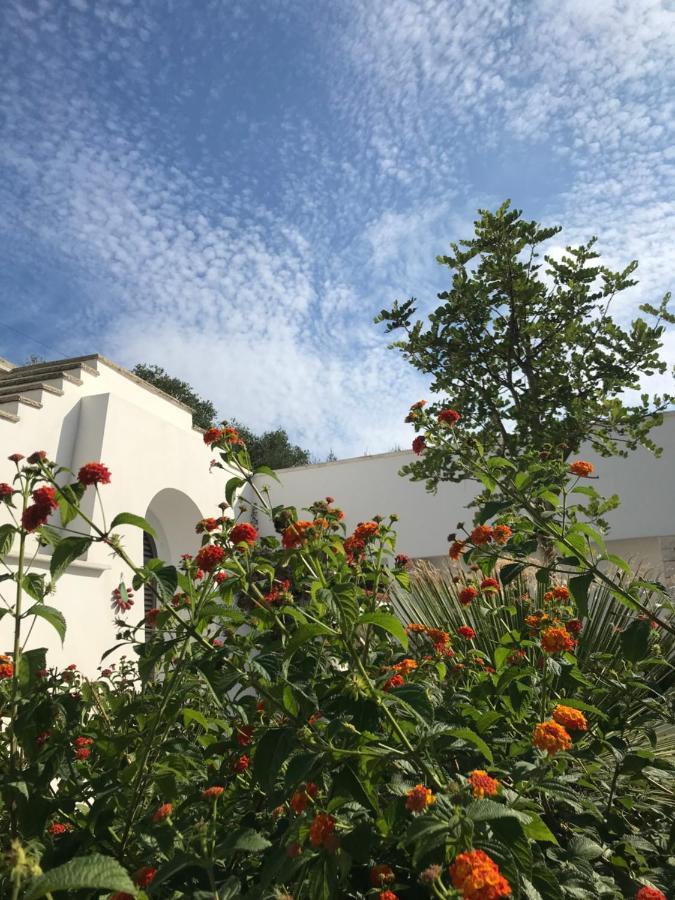 Villa Il Quieto Uliveto Ostuni Exterior foto