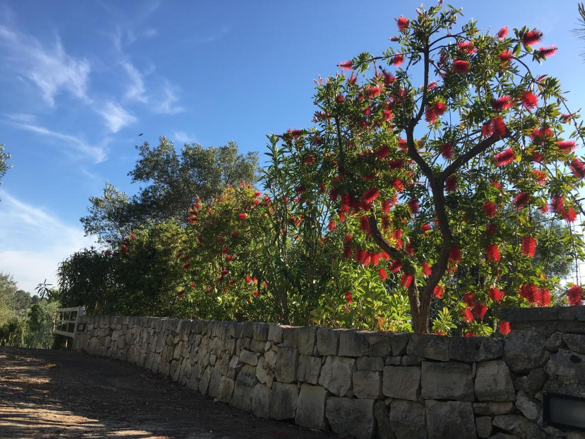 Villa Il Quieto Uliveto Ostuni Exterior foto