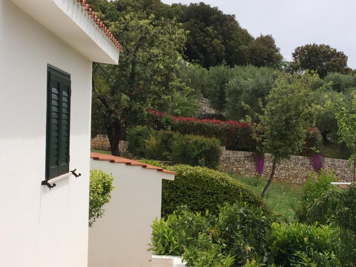 Villa Il Quieto Uliveto Ostuni Exterior foto