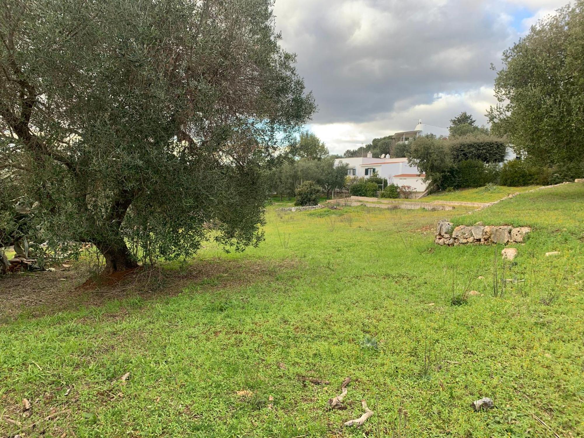 Villa Il Quieto Uliveto Ostuni Exterior foto